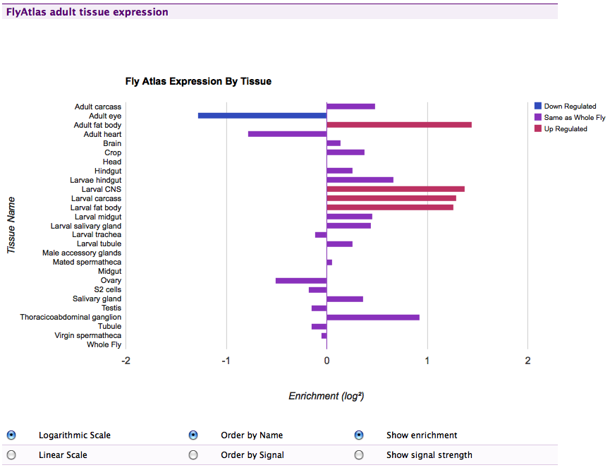 ../../../_images/FlyAtlas_expression_displayer.png