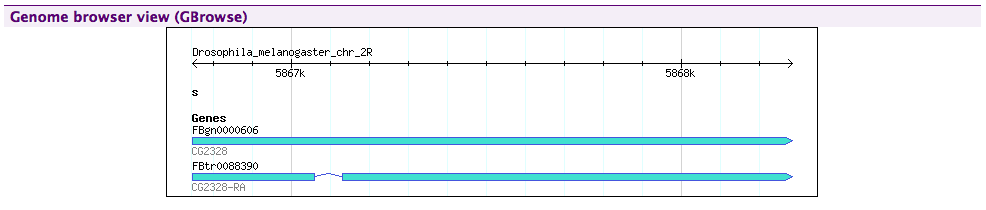 ../../../_images/gbrowse_displayer.png