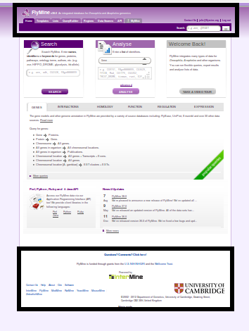 ../../../_images/header-footer.png